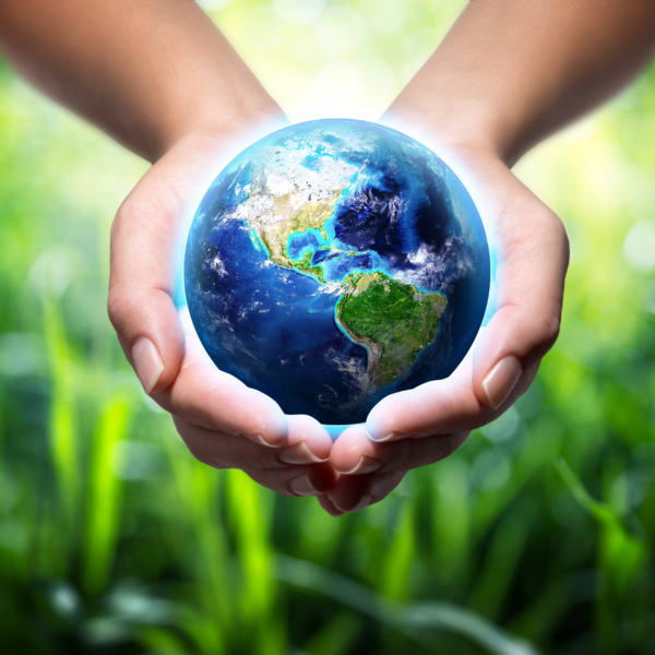 Image of globe in hands with grass background